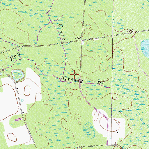 Topographic Map of Piney Bay, GA