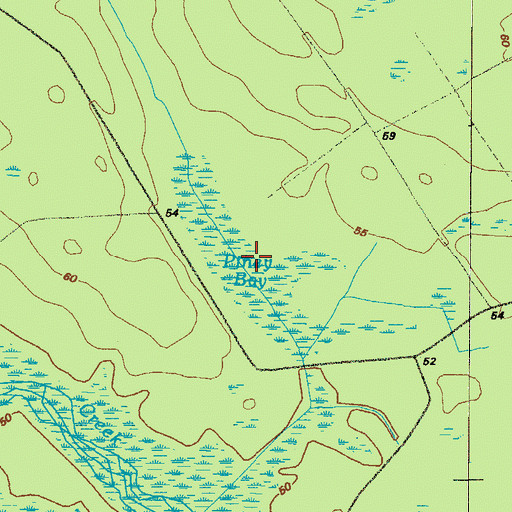 Topographic Map of Piney Bay, GA
