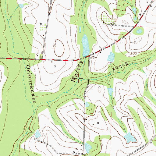 Topographic Map of Piney Branch, GA