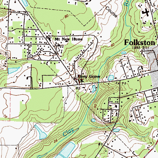 Topographic Map of Piney Grove Church, GA
