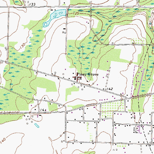 Topographic Map of Piney Grove Church, GA