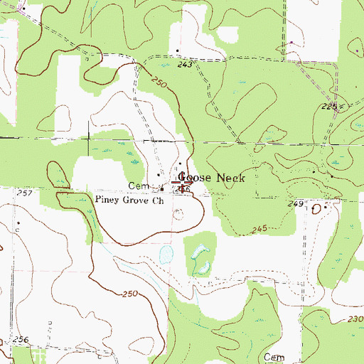 Topographic Map of Piney Grove Church, GA