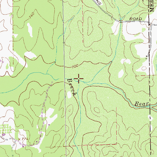 Topographic Map of Piney Woods Branch, GA
