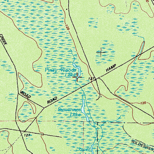 Topographic Map of Piney Woods Lake, GA