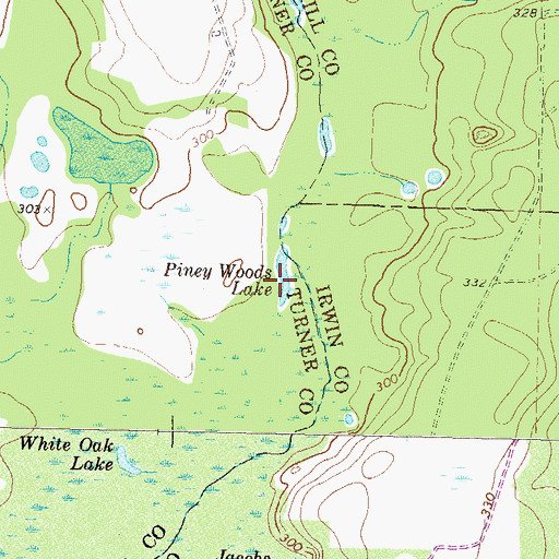 Topographic Map of Piney Woods Lake, GA