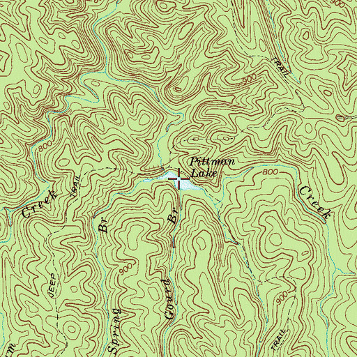 Topographic Map of Pittman Lake, GA