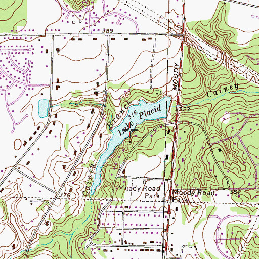 Topographic Map of Lake Placid, GA