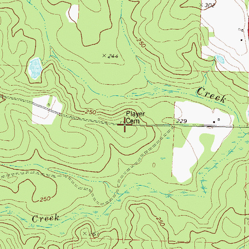 Topographic Map of Player Cemetery, GA