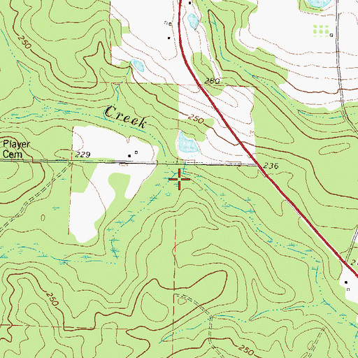 Topographic Map of Player Creek, GA