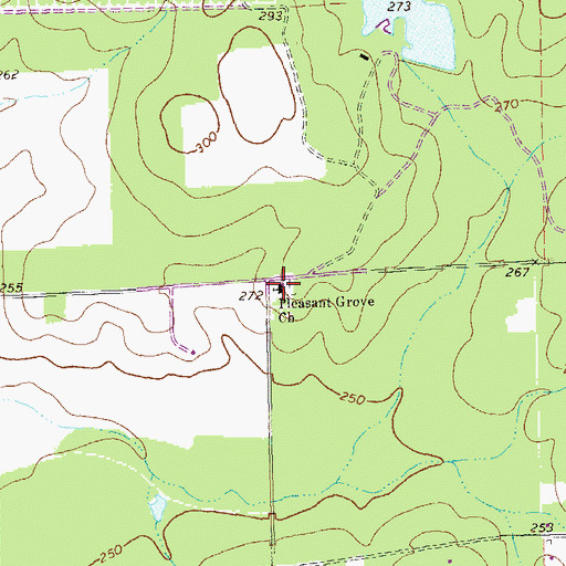 Topographic Map of Pleasant Grove Church, GA