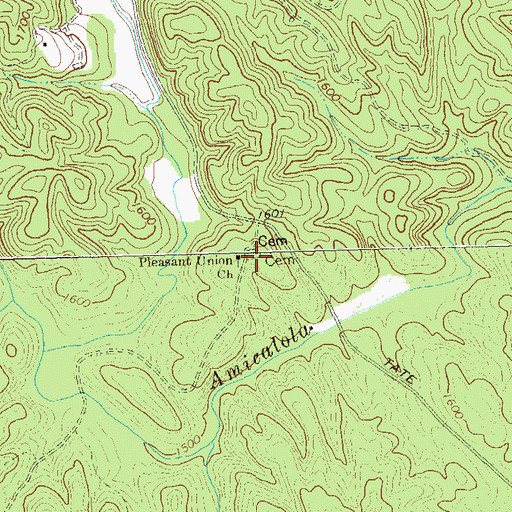 Topographic Map of Pleasant Union Church, GA