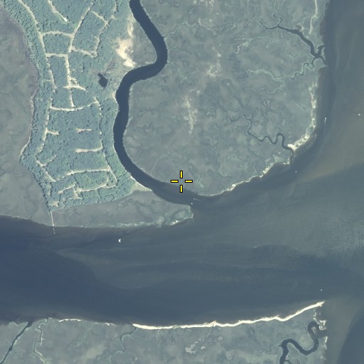 Aerial/Satellite Image of Point Peter Creek, GA