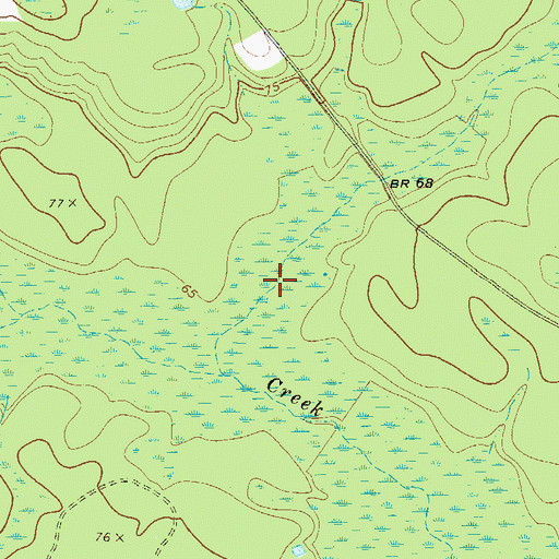 Topographic Map of Pole Branch, GA