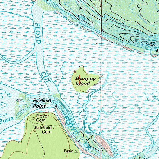 Topographic Map of Pompey Island, GA