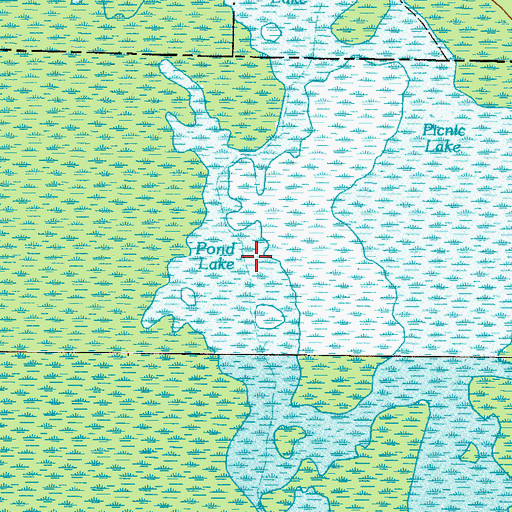 Topographic Map of Pond Lake, GA