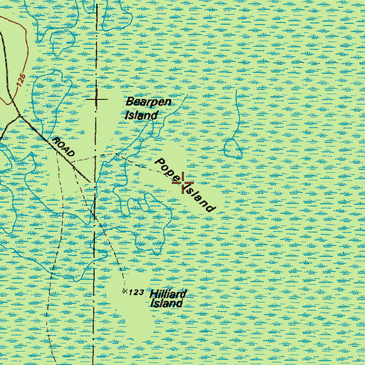 Topographic Map of Pope Island, GA