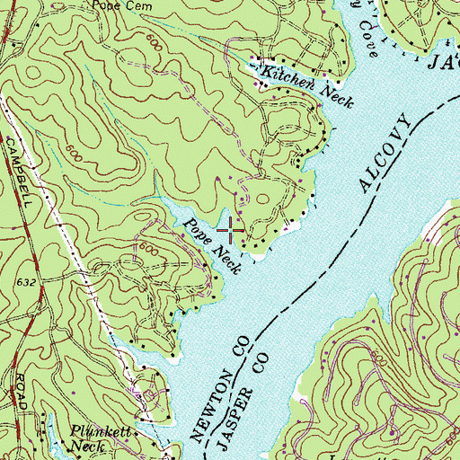 Topographic Map of Pope Neck, GA