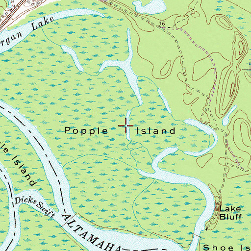 Topographic Map of Popple Island, GA