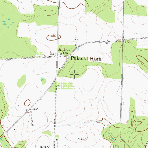 Topographic Map of Pulaski High, GA