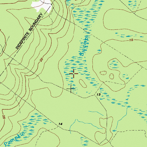Topographic Map of Pumpkin Swamp, GA