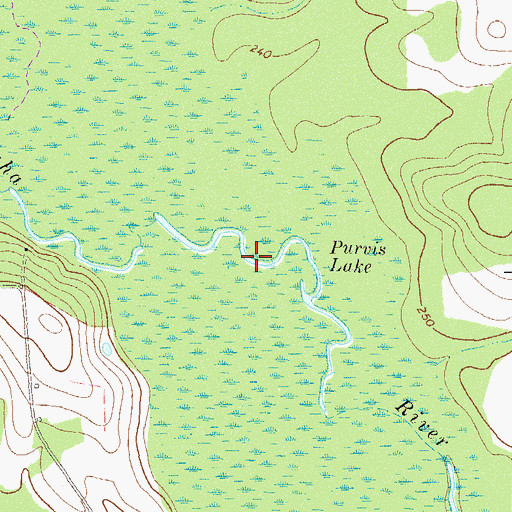 Topographic Map of Purvis Lake, GA