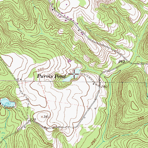 Topographic Map of Purvis Pond, GA