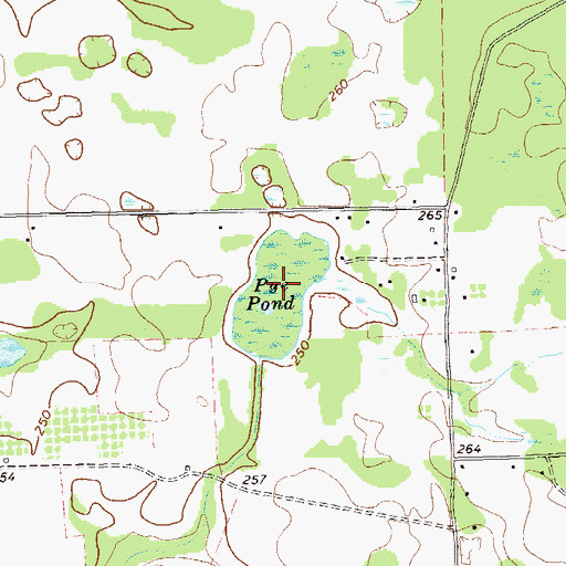 Topographic Map of Pye Pond, GA
