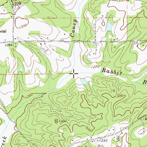 Topographic Map of Rabbit Branch, GA