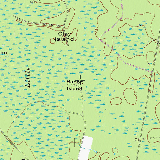 Topographic Map of Rabbit Island, GA