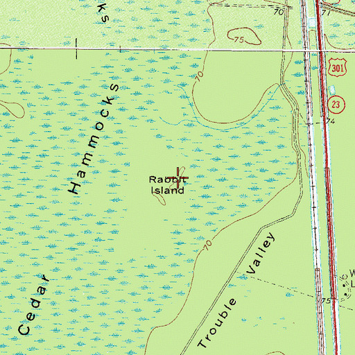 Topographic Map of Rabbit Island, GA