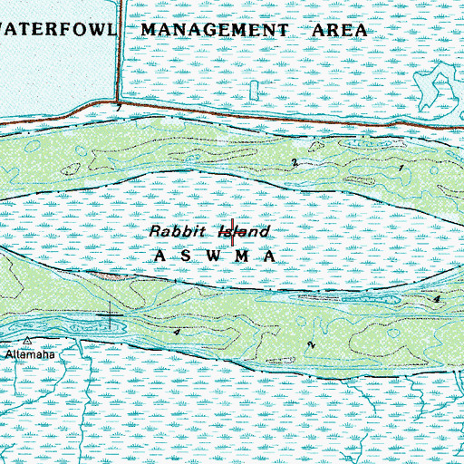 Topographic Map of Rabbit Island, GA