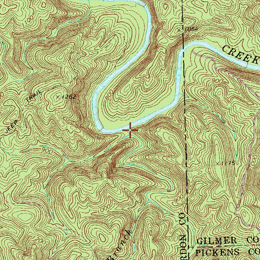 Topographic Map of Raccoon Branch, GA