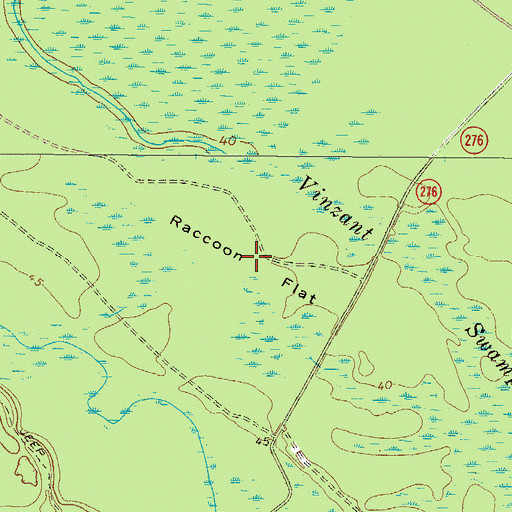 Topographic Map of Raccoon Flat, GA