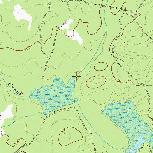 Topographic Map of Rains Branch, GA