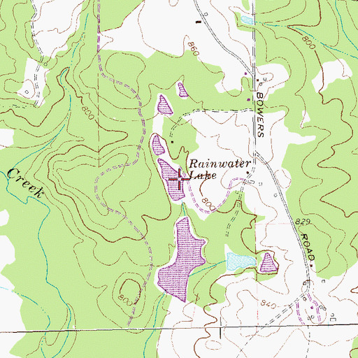 Topographic Map of Rainwater Lake, GA