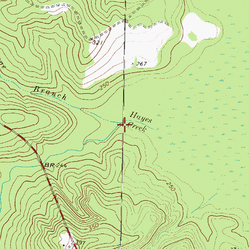 Topographic Map of Ramage Branch, GA