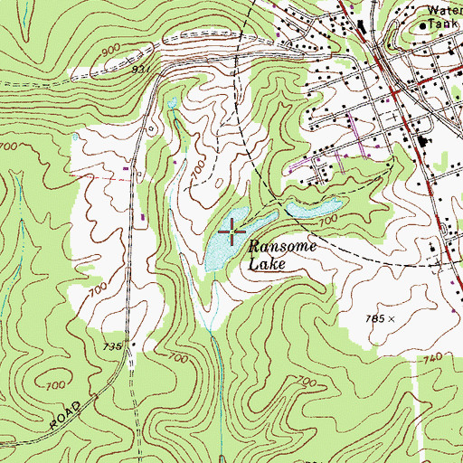 Topographic Map of Ransome Lake, GA