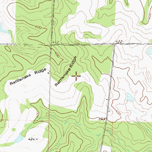 Topographic Map of Rattlesnake Ridge, GA