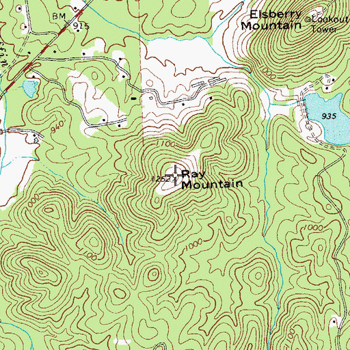Topographic Map of Ray Mountain, GA