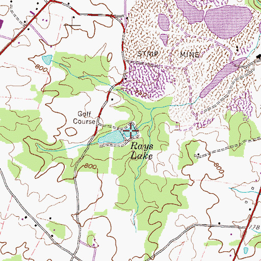 Topographic Map of Rays Lake, GA