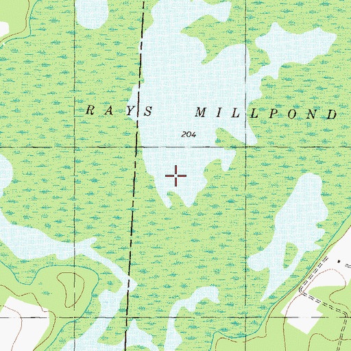 Topographic Map of Rays Millpond, GA