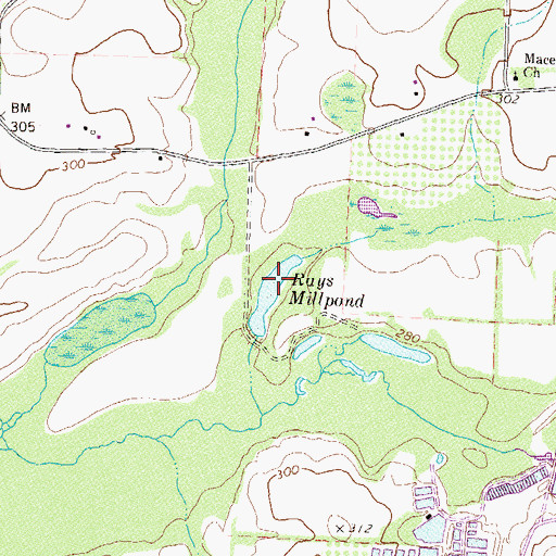 Topographic Map of Rays Millpond, GA