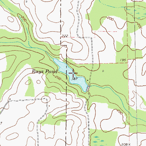 Topographic Map of Rays Pond, GA
