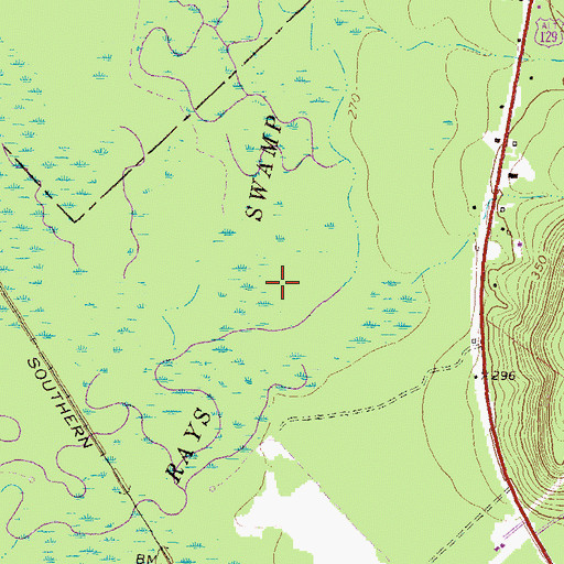 Topographic Map of Rays Swamp, GA