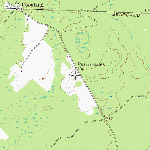 Topographic Map of Reaves-Bates Cemetery, GA