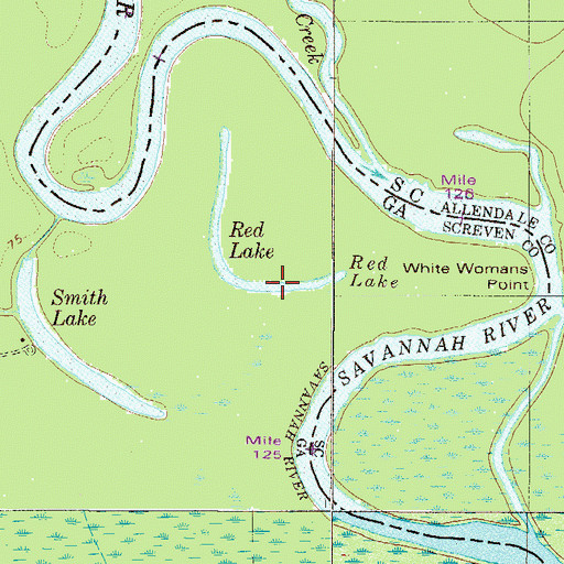 Topographic Map of Red Lake, GA