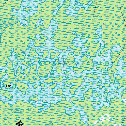 Topographic Map of Redbird Prairie, GA
