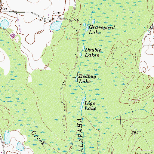 Topographic Map of Redbug Lake, GA