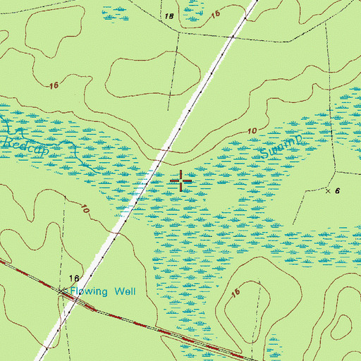 Topographic Map of Redcap Swamp, GA