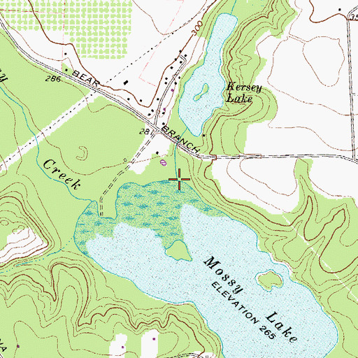 Topographic Map of Redding Branch, GA